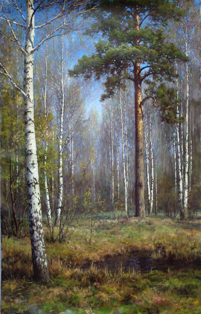 Spring Forest - 1, Vadim Zainullin, 买画 油