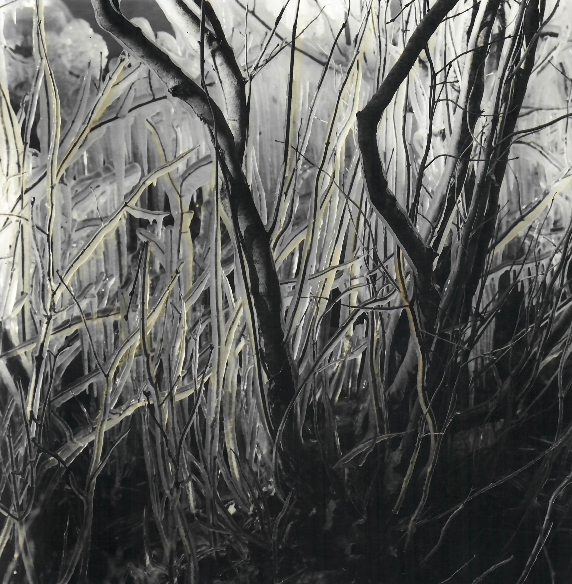 Landscape #1 - 1, Denis Fontanov, 买画 作者的技术