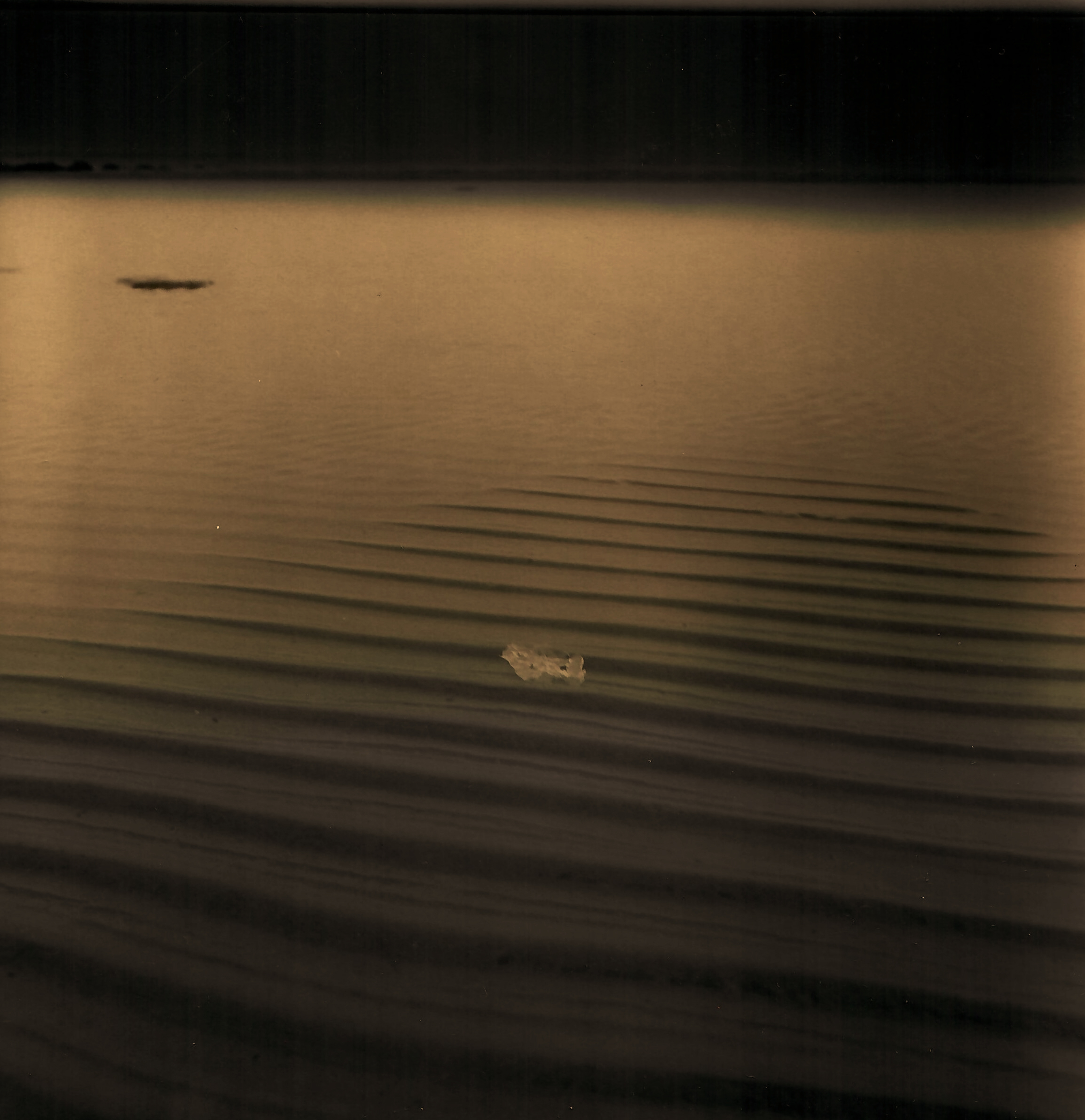 Landscape #2 - 1, Denis Fontanov, 买画 作者的技术