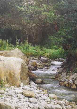 Cold river. Abkhazia