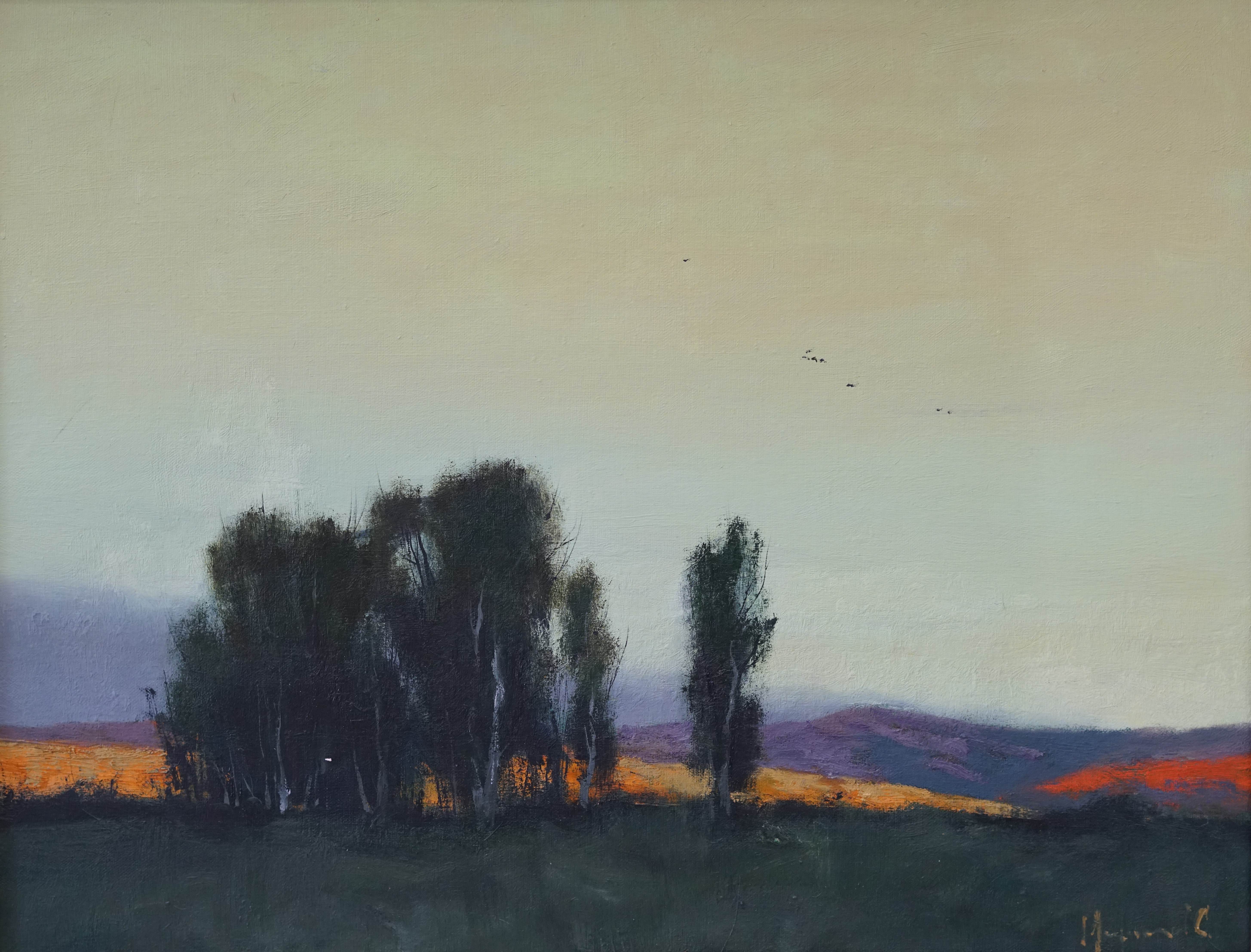 Birds - 1, Stas Miroshnikov, 买画 油
