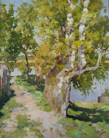 Birch trees in May