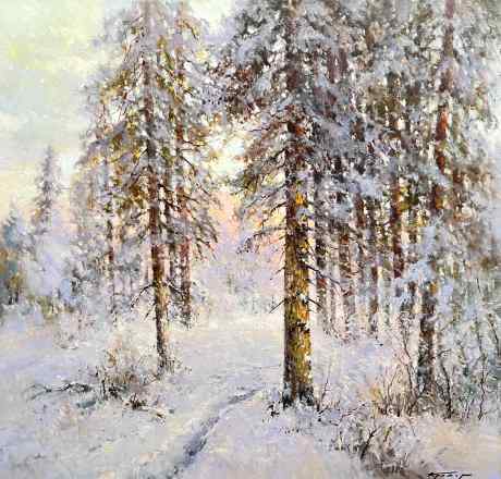 Pine Glade. Morning