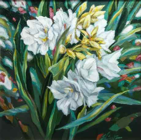 Azalea