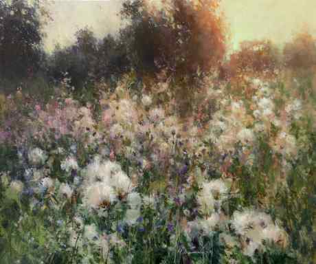 Evening