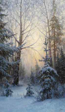 雪装