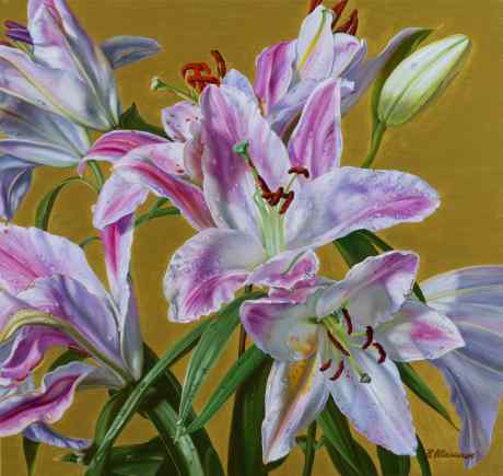 Lilies
