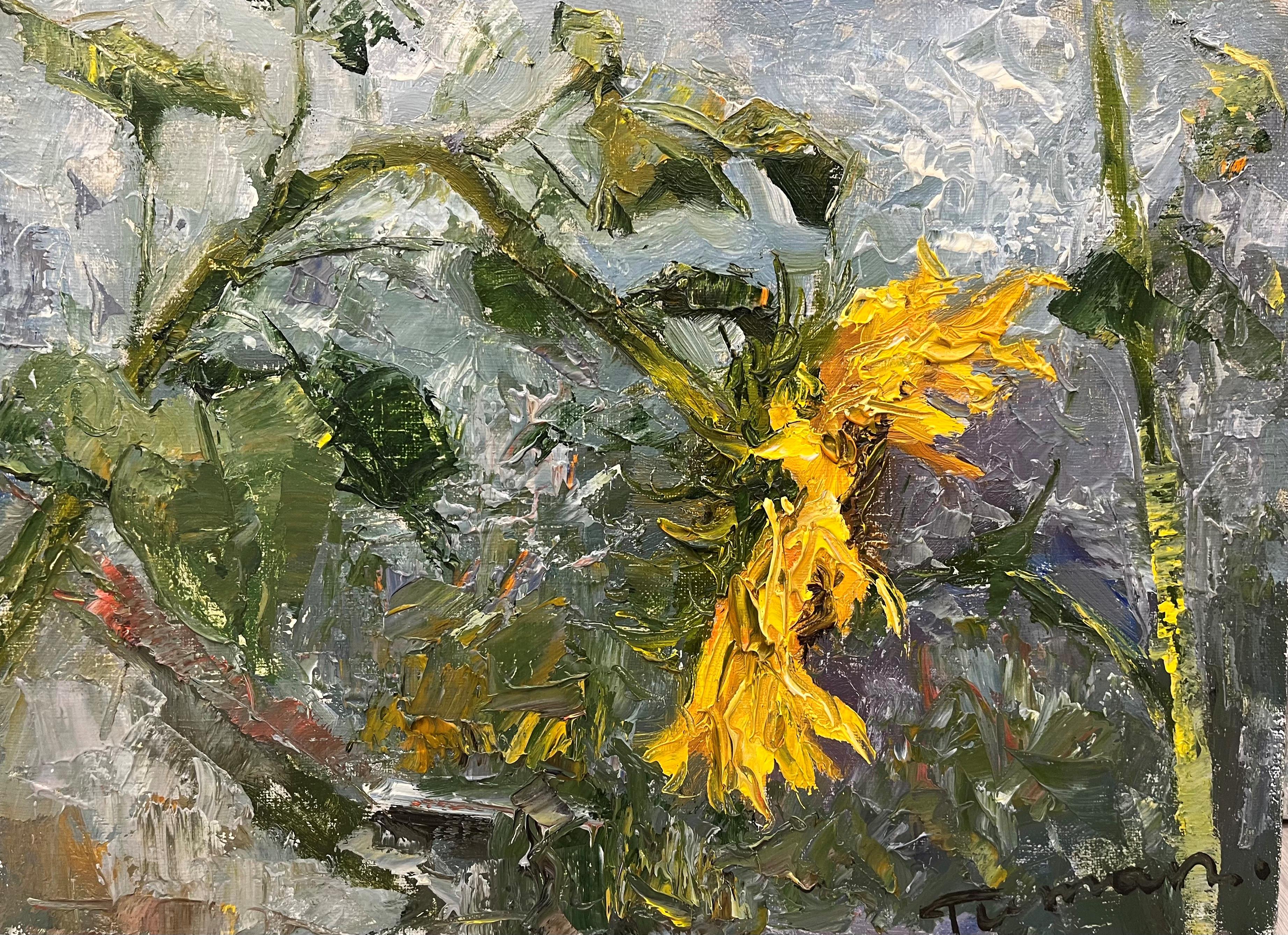 Sunflower II - 1, 雾Zhumabaev, 买画 油