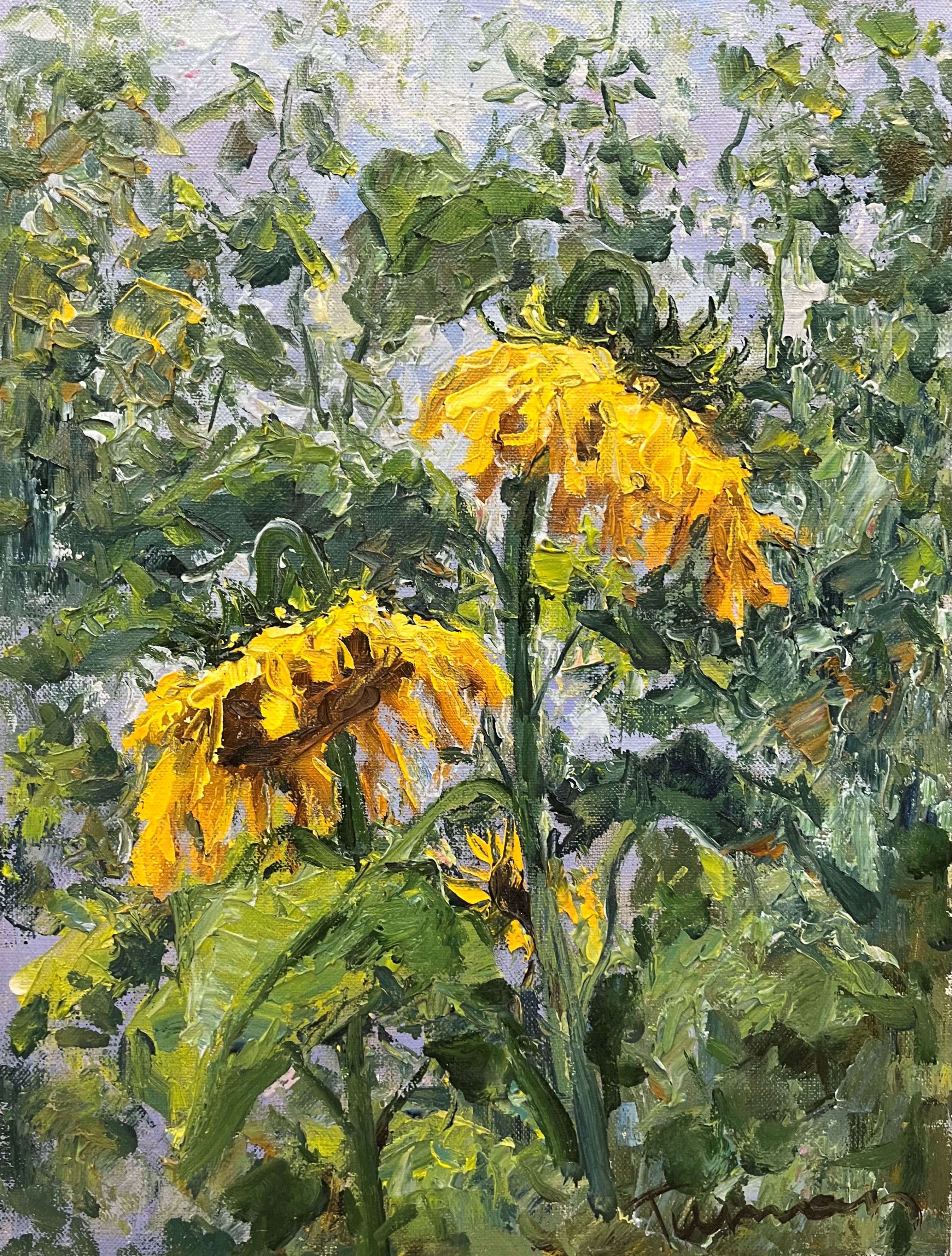 Sunflower III - 1, 雾Zhumabaev, 买画 油