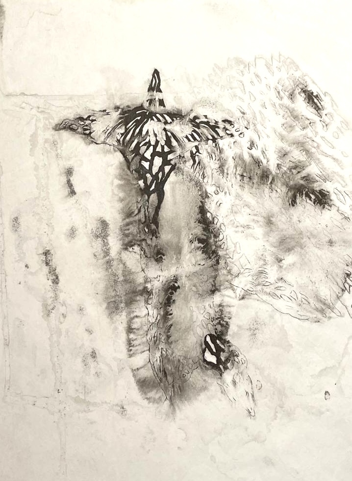  - 1, , 买画 睫毛膏