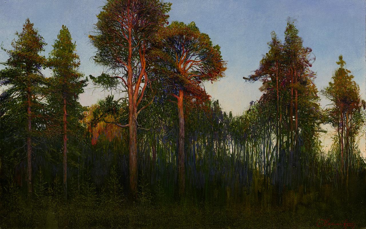 Pine Trees at Sunset - 1, 安德烈*马马耶夫, 买画 油