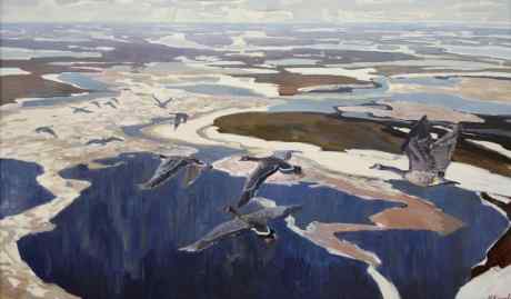 Spring in the polar tundra. The geese are flying