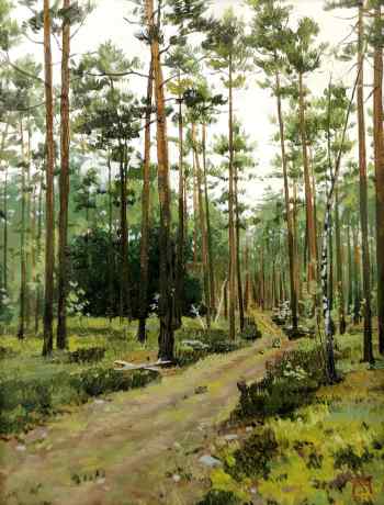 Pine forest