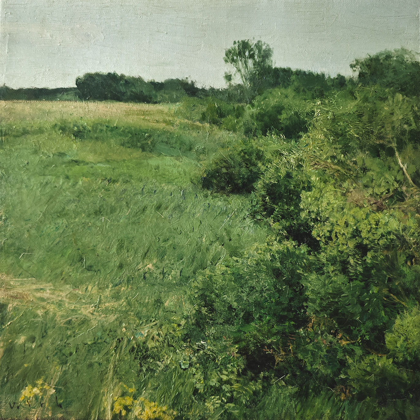 The edge of the meadow - 1, Vladimir Kirillov, 买画 油
