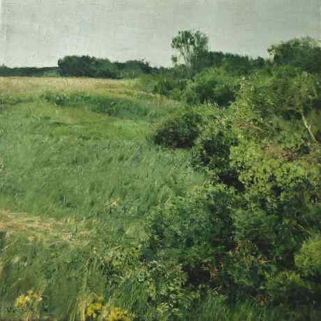 The edge of the meadow