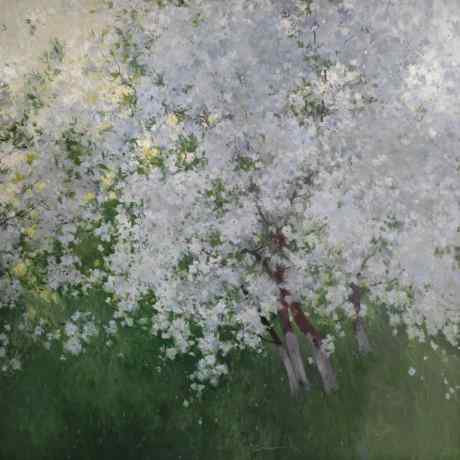 In full bloom
