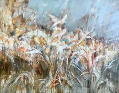 Daylily