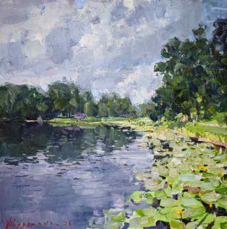 A pond with water lilies
