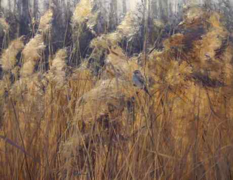 Light wind