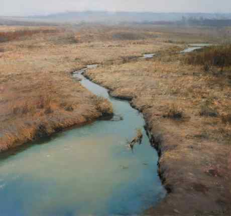 Swamps