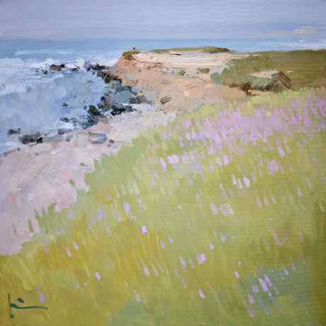 Morning in Pescadero