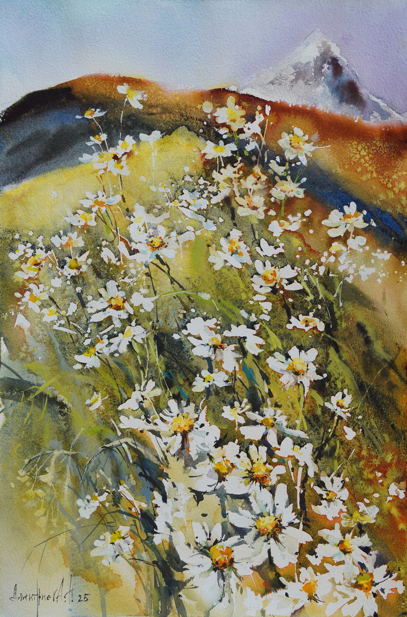 Mountain Daisies  - 1, Natalia Dmitrieva, 买画 水彩