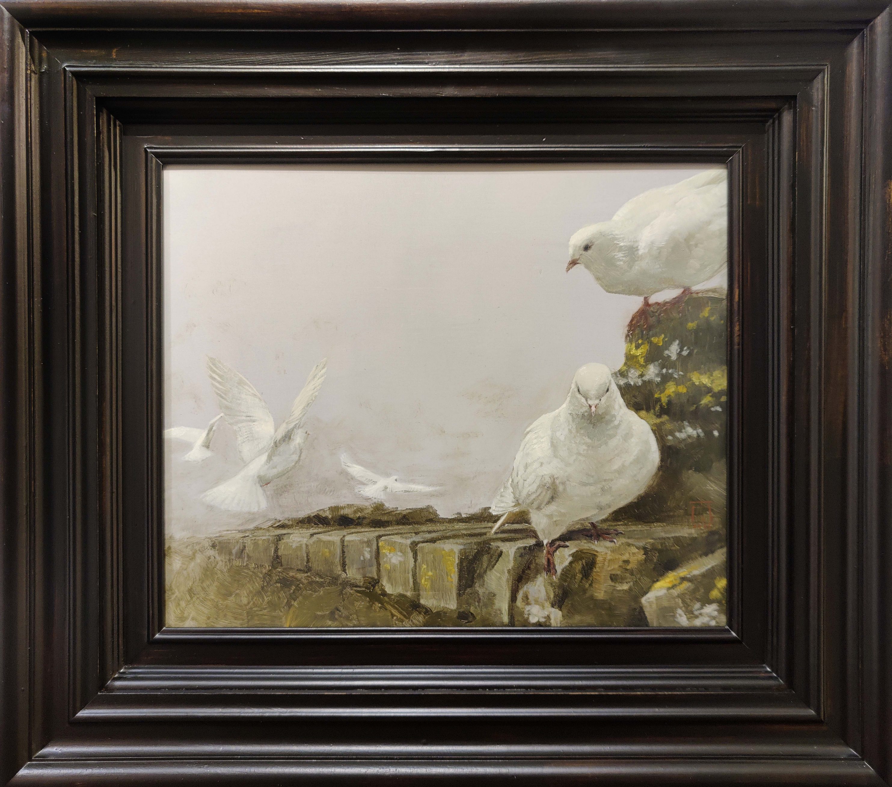 Spanish lovebirds - 2